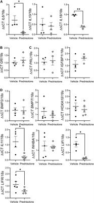 Prednisolone Alters Endometrial Decidual Cells and Affects Decidual-Trophoblast Interactions